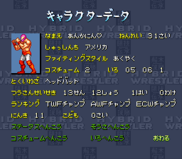船木誠勝HYBRID WRESTLER 闘技伝承 - 「SFCのゲーム制覇しましょ